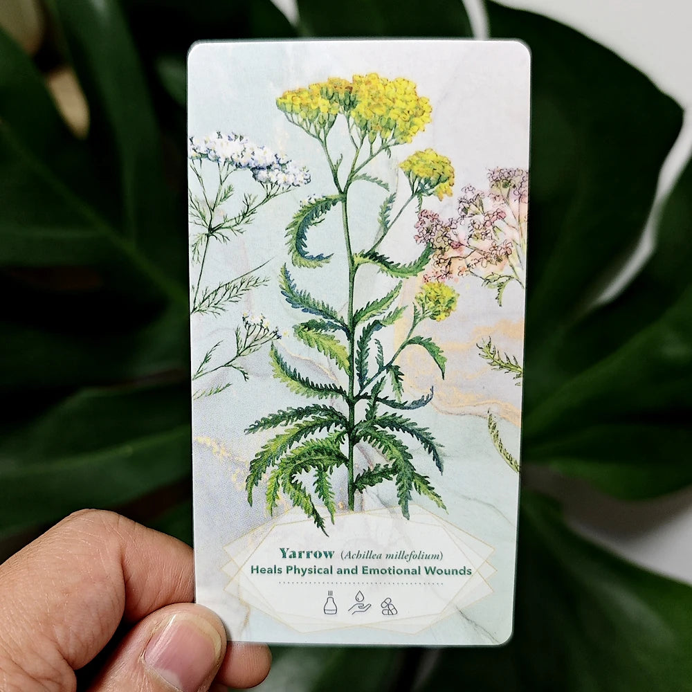 Essential Oils Healing Deck